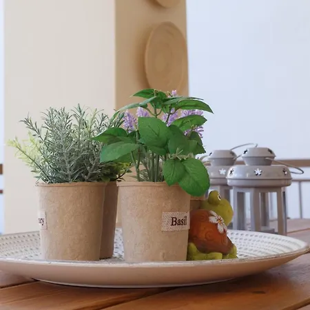 Centro Apartment Kalamata